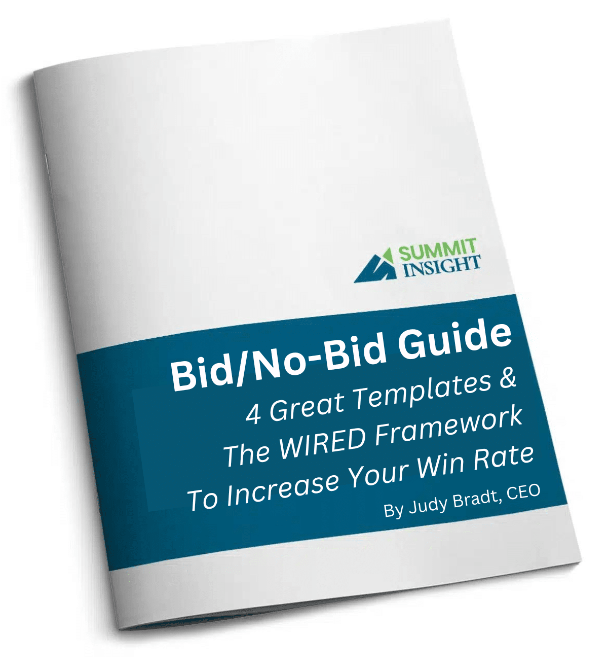 Cover of the Bid/No-Bid Guide showing “4 Great Templates & The WIRED Framework to Increase Your Win Rate” by Judy Bradt, Summit Insight.