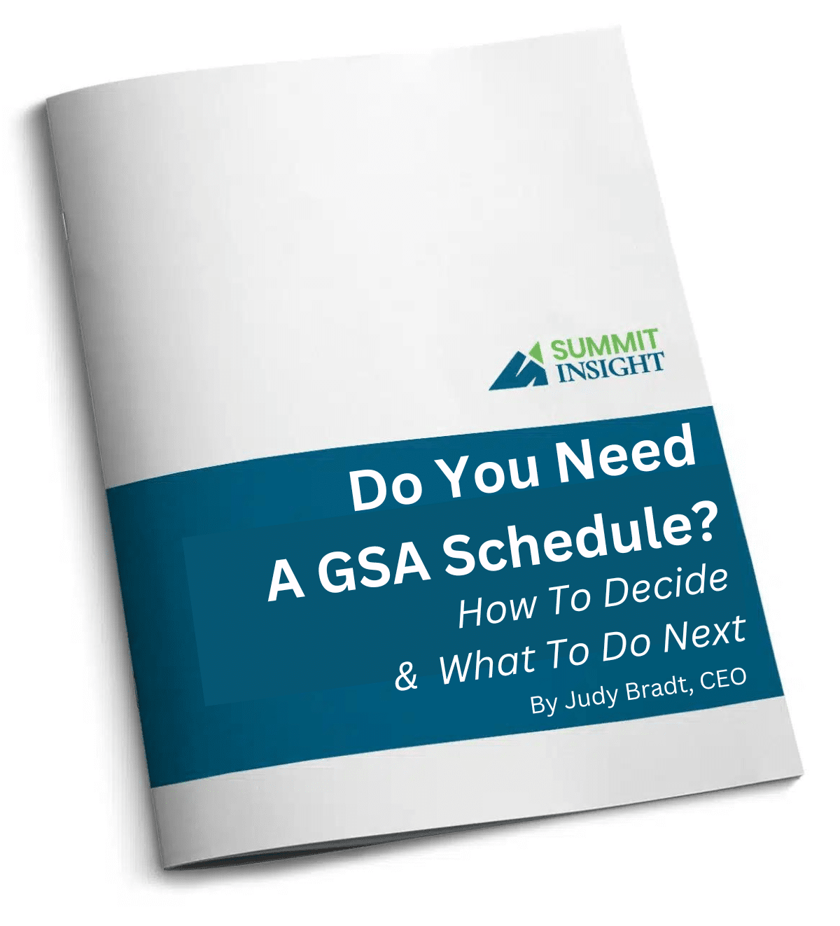 Cover of the guide "Do You Need a GSA Schedule? How to Decide and What to Do Next" by Judy Bradt, Summit Insight