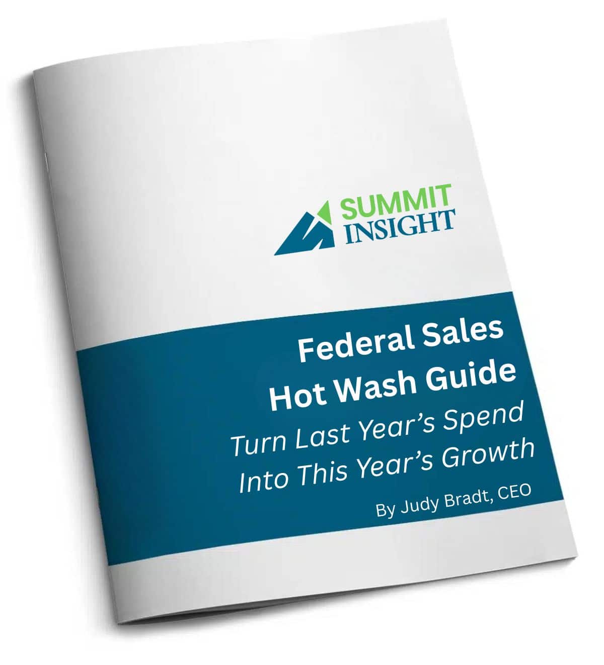 Cover of the Federal Sales Hot Wash Guide by Summit Insight, showing strategies to review past performance and plan the year ahead.